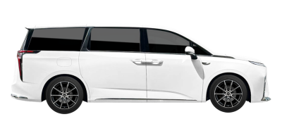 Ldv Mifa 2022