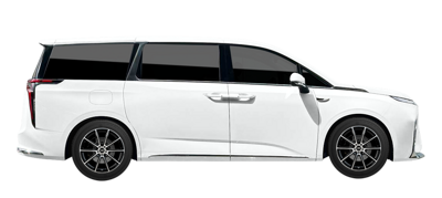 Ldv Mifa 2025